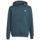 Adidas Παιδικό φούτερ Adicolor Hoodie